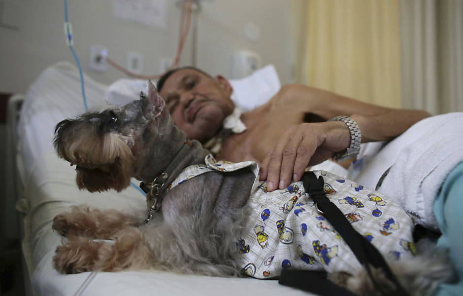 Lei permitir visitas de animais de estimao  pacientes hospitalizados